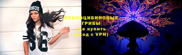 прущая мука Богданович
