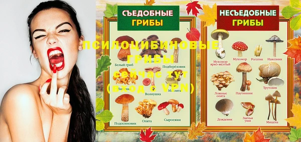 прущая мука Бронницы