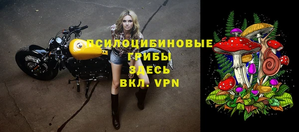 mdma Бородино