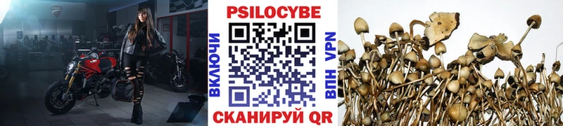 мега ссылки Канск Псилоцибиновые грибы мухоморы дарнет шоп